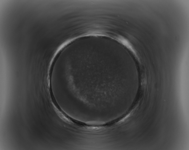 X0000085761372200703231145