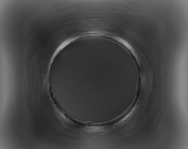 X0000085761373200703231145