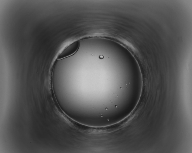 X0000085761374200703231145