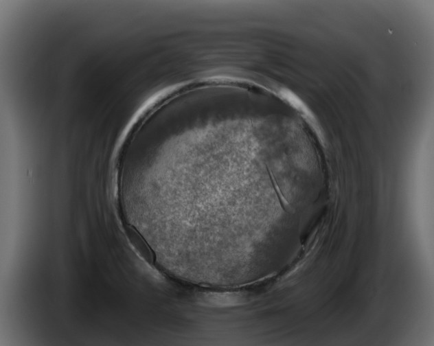 X0000085761376200703231145