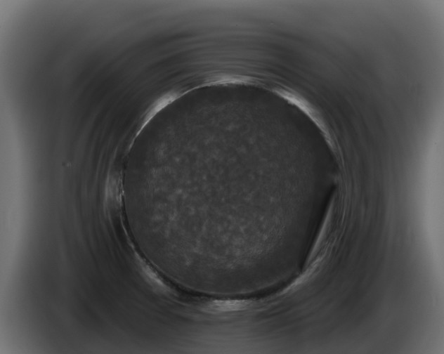 X0000085761377200703231145