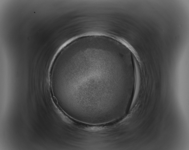 X0000085761380200703231145