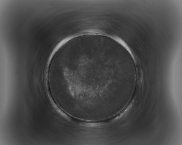 X0000085761381200703231145