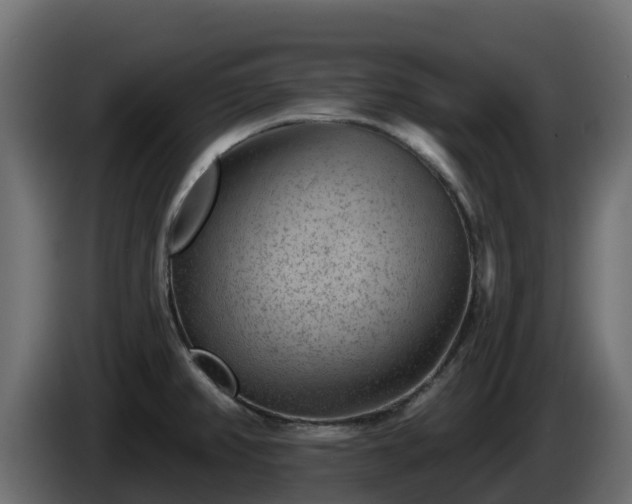 X0000085761382200703231145