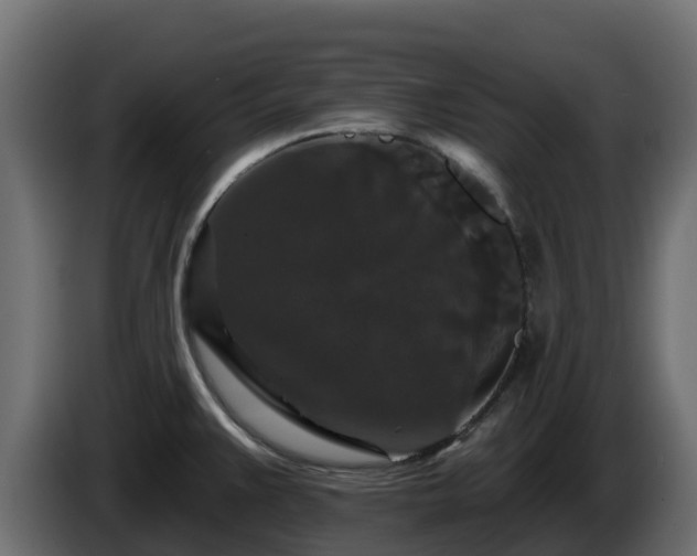 X0000085761383200703231145