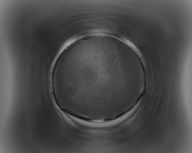 X0000085761384200703231145