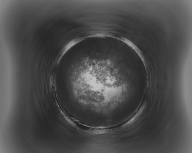 X0000085761385200703231145