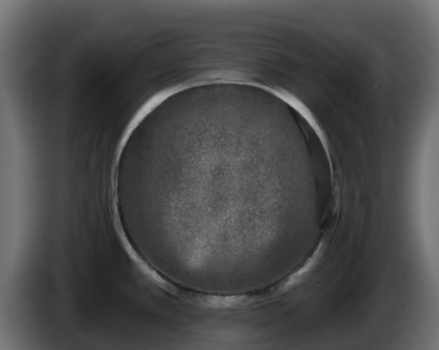 X0000085761389200703231145