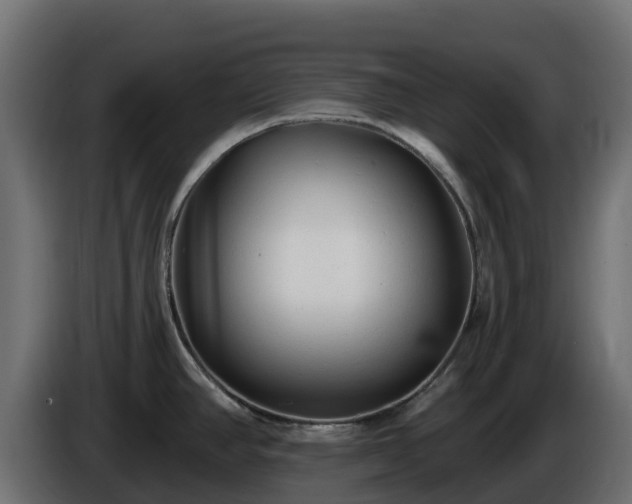 X0000085761390200703231145