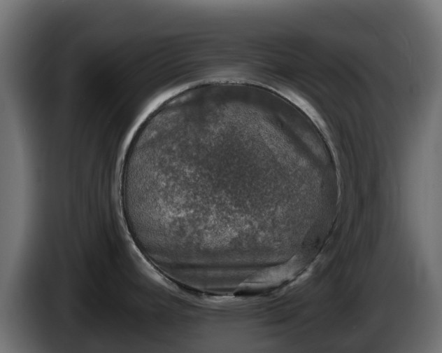 X0000085761392200703231145