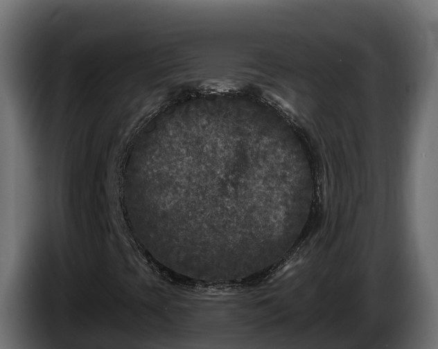 X0000085761393200703231144