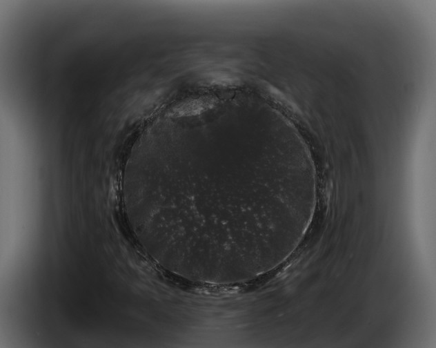 X0000085761397200703231144