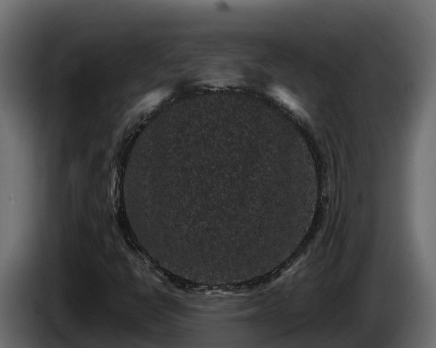 X0000085761398200703231144