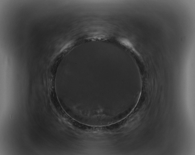 X0000085761399200703231144