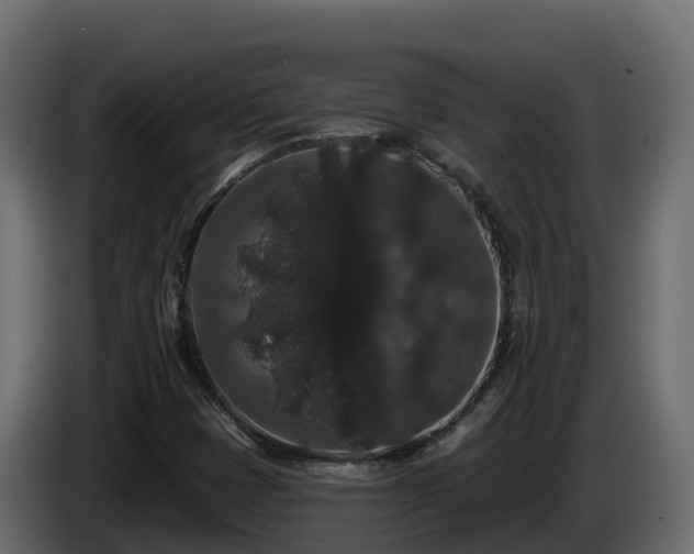X0000085761401200703231144