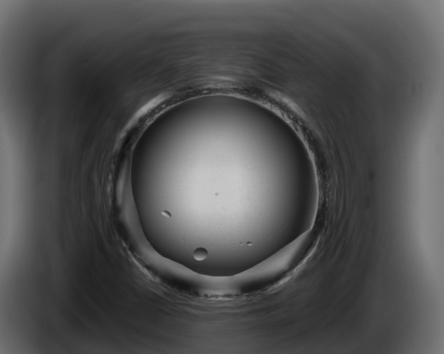 X0000085761402200703231144
