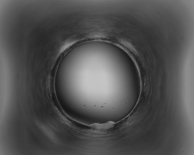 X0000085761404200703231144