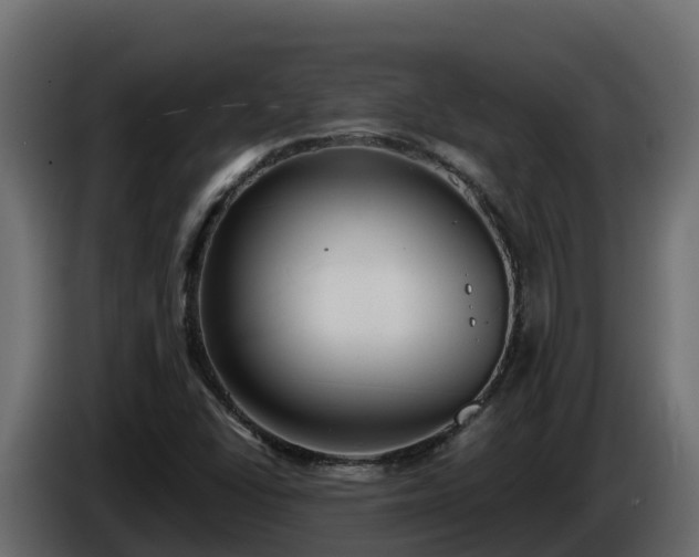 X0000085761406200703231144