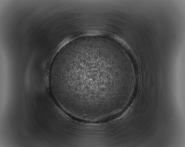 X0000085761409200703231144
