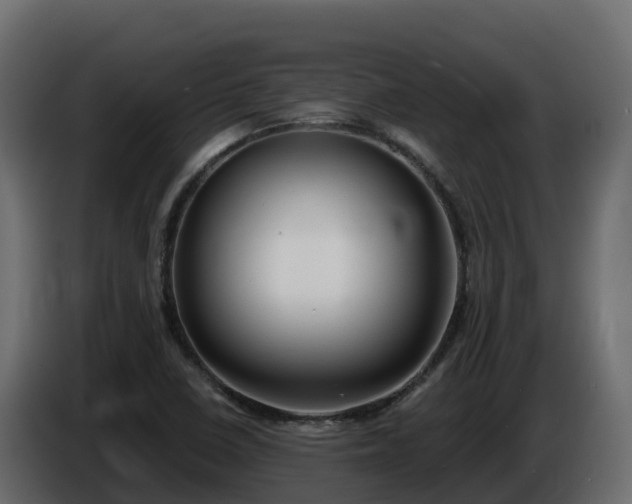 X0000085761410200703231144