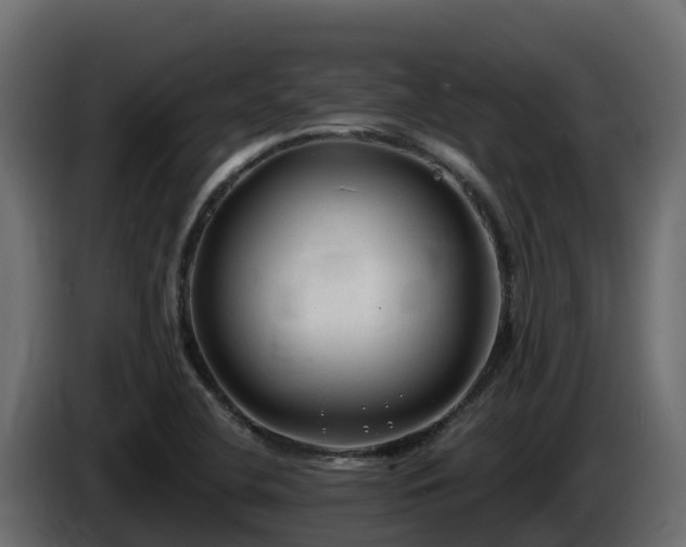 X0000085761412200703231144