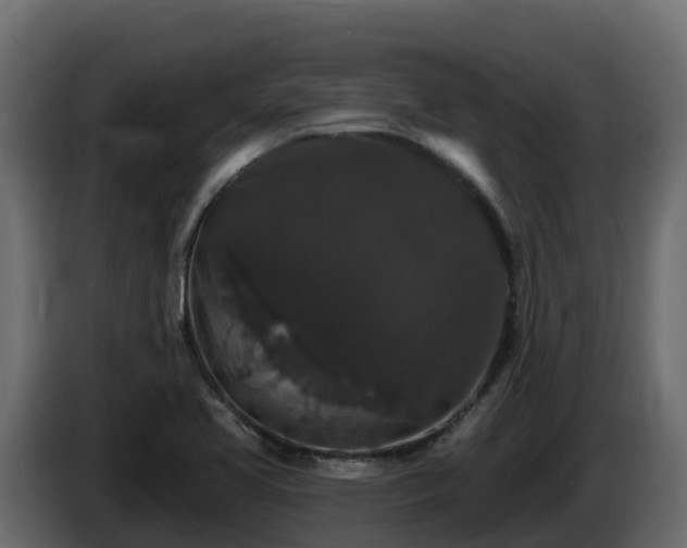 X0000085761413200703231144