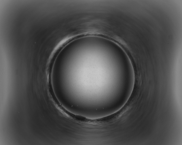 X0000085761416200703231144