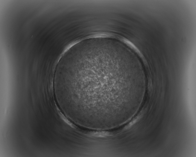 X0000085761417200703231144