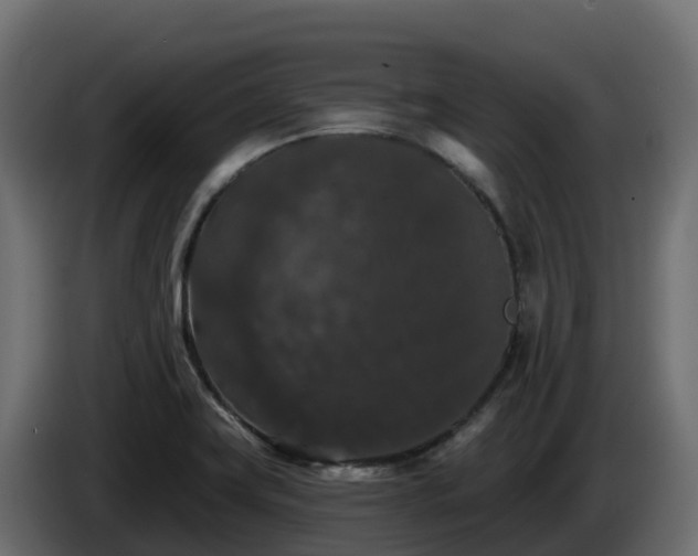 X0000085761419200703231144