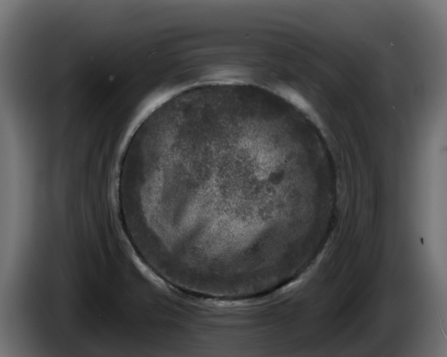 X0000085761421200703231144