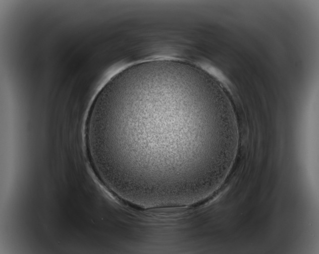 X0000085761423200703231144