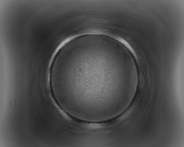 X0000085761424200703231145