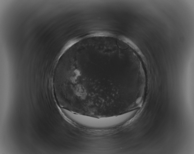 X0000085761425200703231145