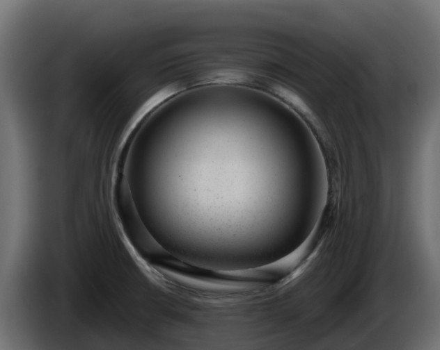 X0000085761426200703231145