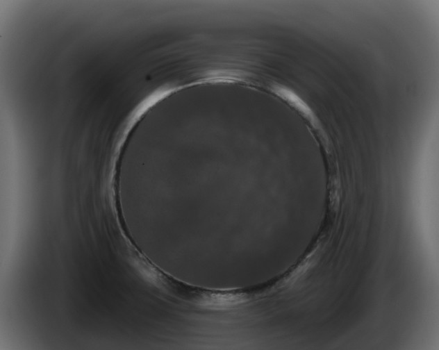 X0000085761427200703231145