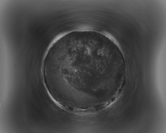X0000085761429200703231145