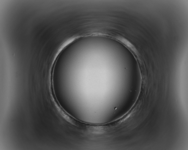 X0000085761431200703231145