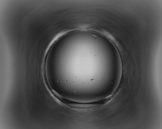 X0000085761432200703231145