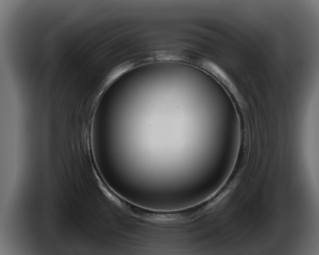 X0000085761433200703231145