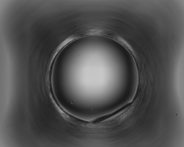 X0000085761434200703231145