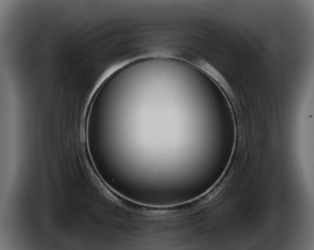 X0000085761436200703231145
