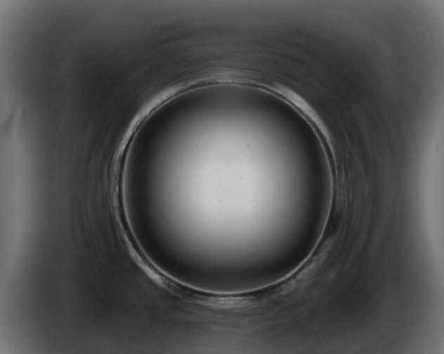 X0000085761437200703231145