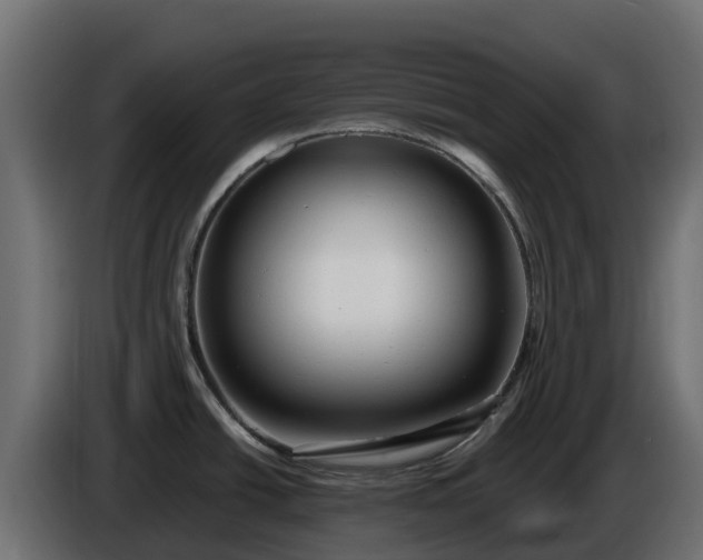 X0000085761438200703231145
