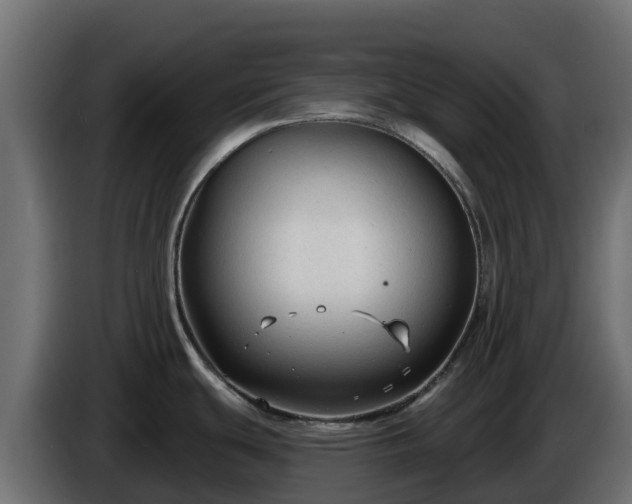 X0000085761439200703231145