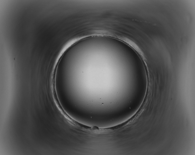 X0000085761440200703231145