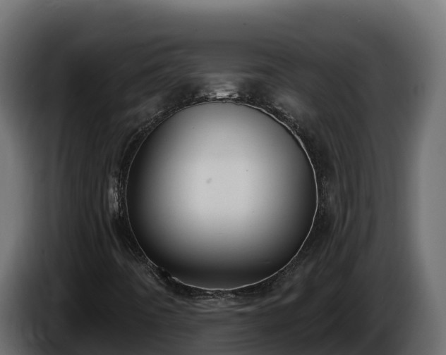 X0000085761442200703231144