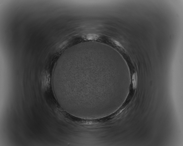 X0000085761443200703231144