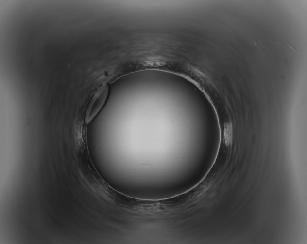 X0000085761444200703231144