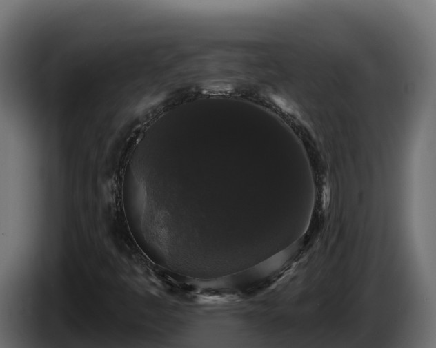 X0000085761445200703231144