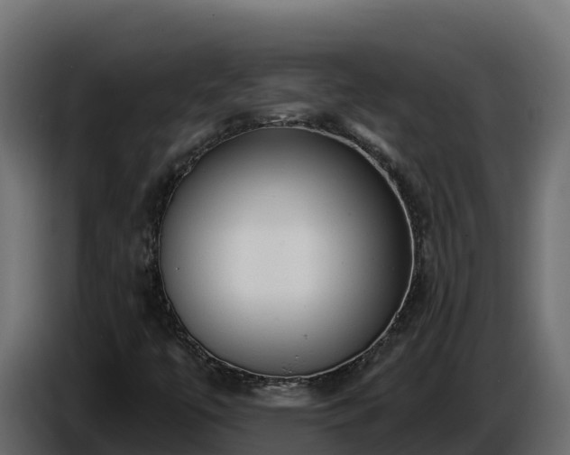 X0000085761447200703231144